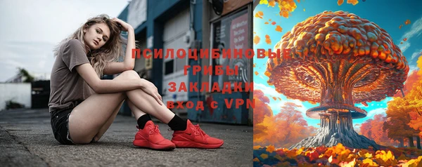 винт Алзамай