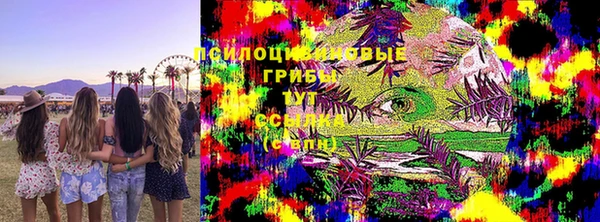 мяу мяу мука Алексин