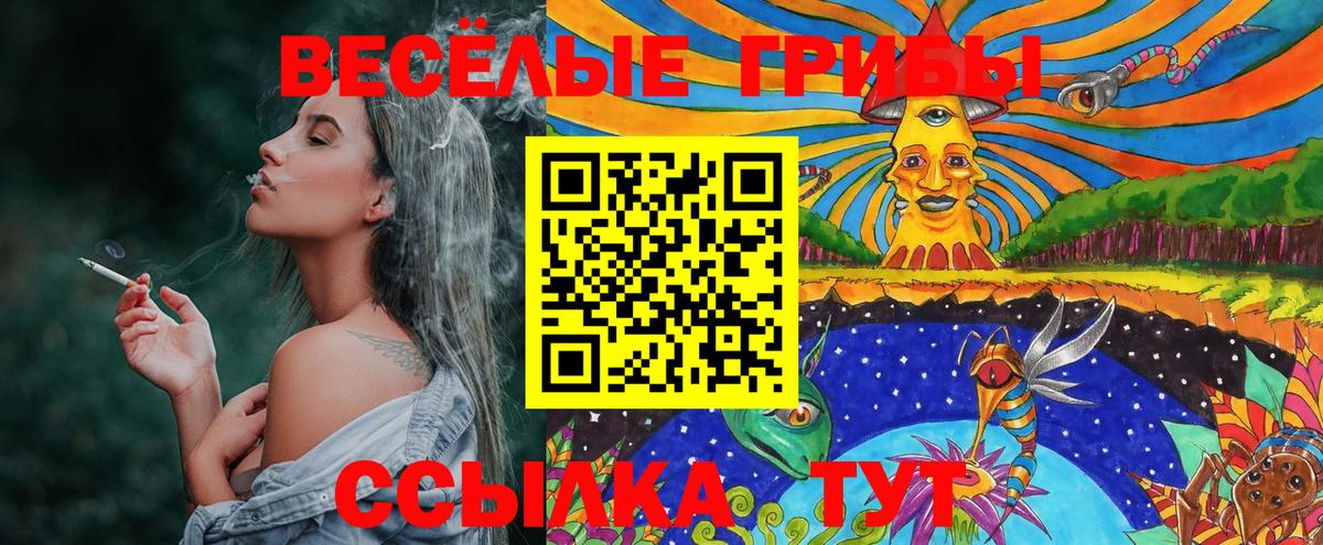 Псилоцибиновые грибы MAGIC MUSHROOMS Мичуринск