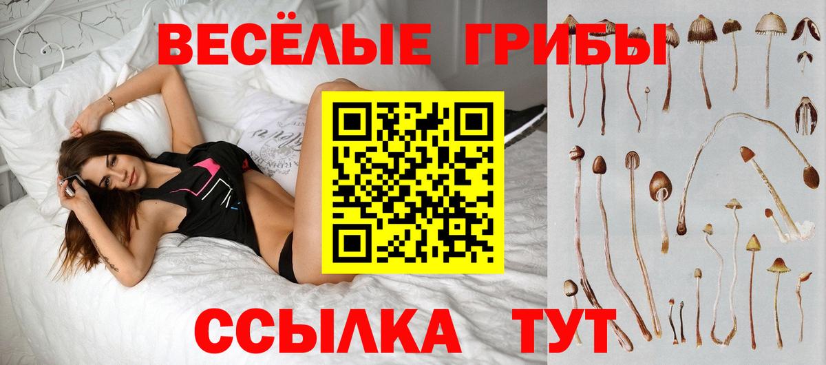 Псилоцибиновые грибы GOLDEN TEACHER  Псилоцибиновые грибы Cubensis  Вход с VPN  Мичуринск 
