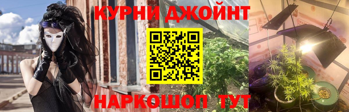 Мичуринск  Конопля марихуана  МАРИХУАНА сатива  Канабис Bruce Banner  Вход с VPN 