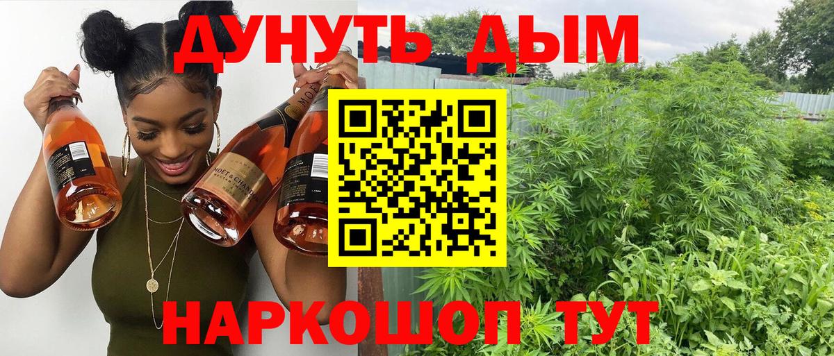 Каннабис план Мичуринск
